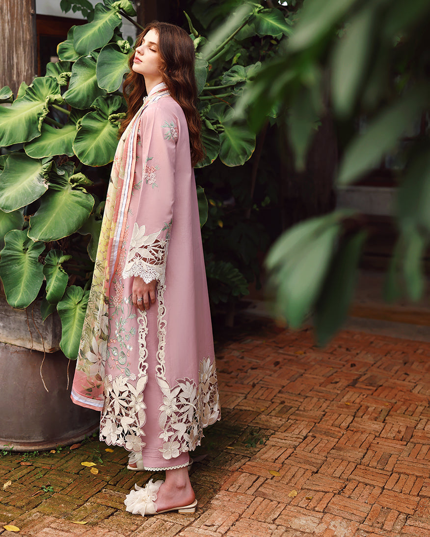 Rang-e-Haya